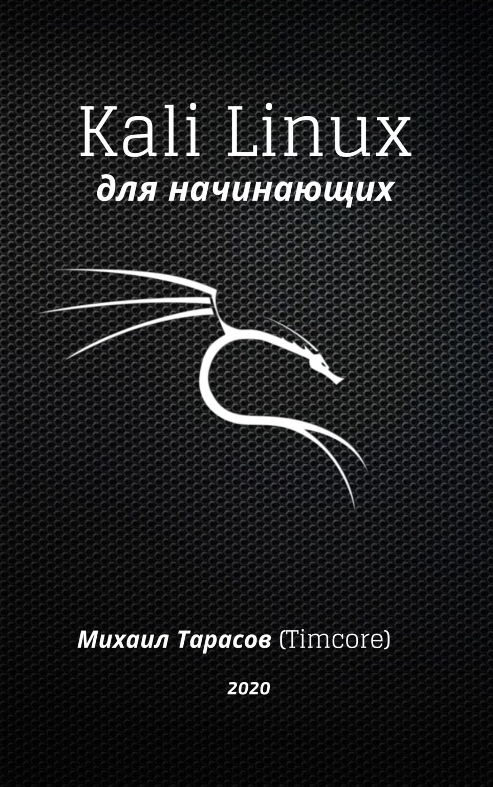 Поиск уязвимостей на сайте kali linux