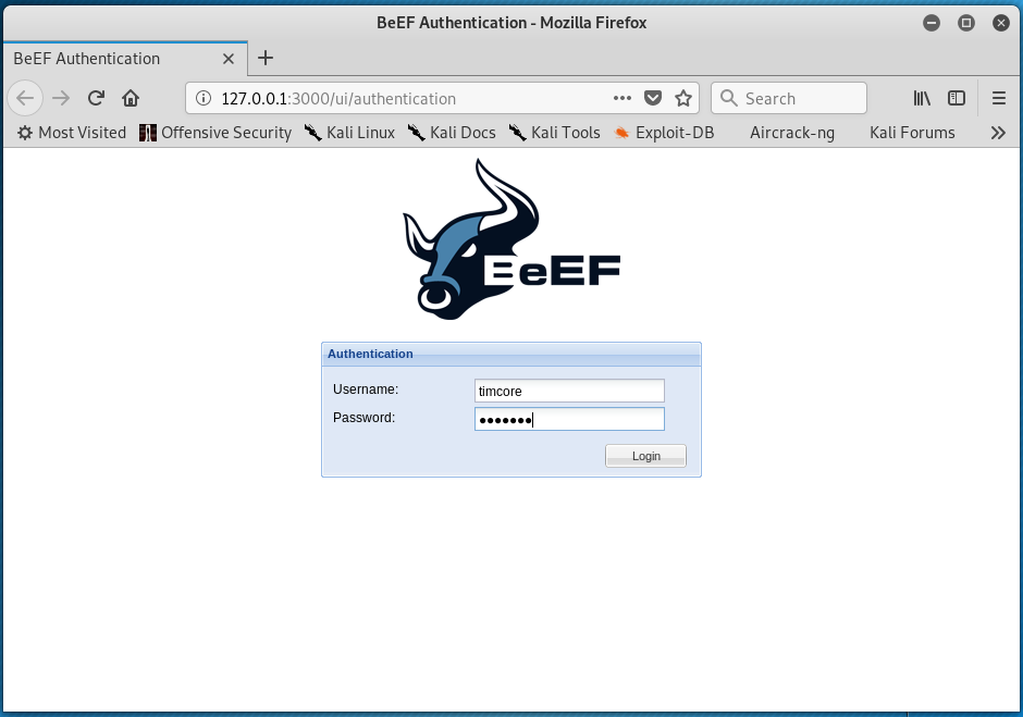 После запуска BeEF, у нас автоматически открывается браузер, где нужно ввести логин и пароль