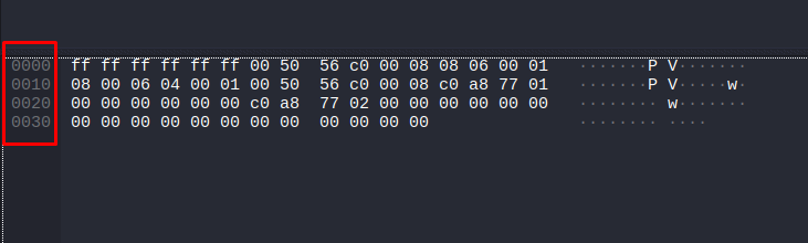 Также смещение пакета отображается в виде ASCII