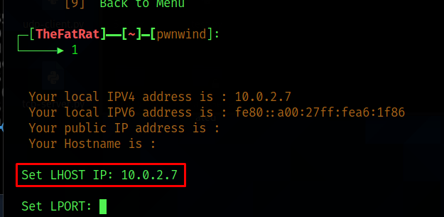 Как видите, произошел вывод локального ip-адреса, в формате IPV4, и IPV6. Далее, нам нужно указать наш локальный айпи-адрес