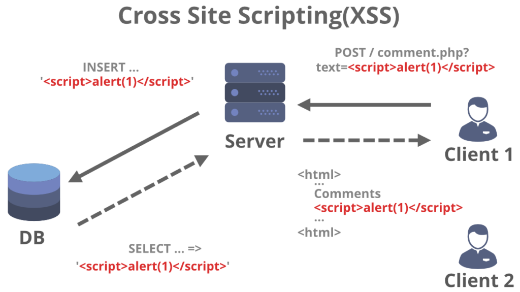 cross site scripting (xss)
