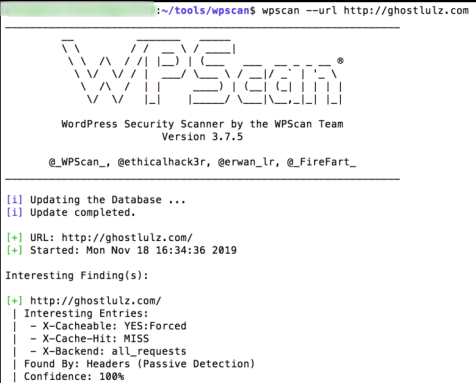 wpscan --URL <URL>