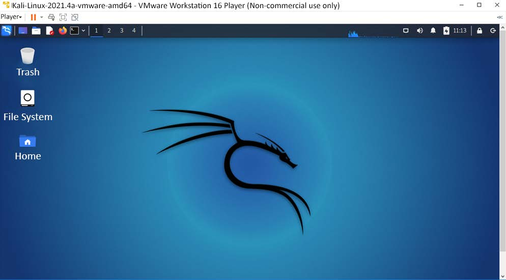 Once Kali Linux has been successfully installed on VMware, this display is shown