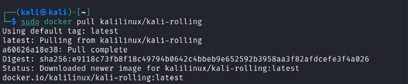 Successful installation of Kali Linux using Docker