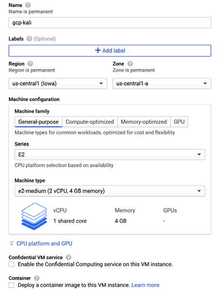 Entering our gcp-kali instance details and selecting the required resources to run it