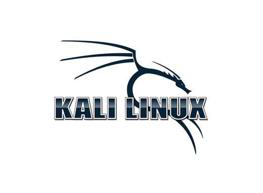 Видеокурс - Kali Linux для начинающих