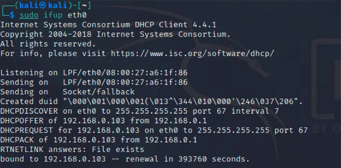 Successful assignment of an IP address through DHCP using the ifup script