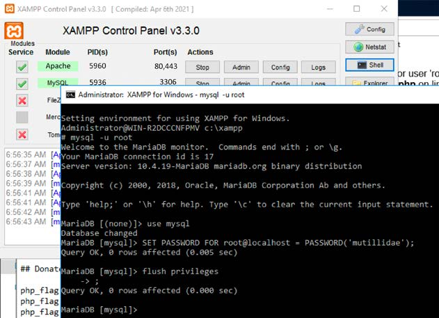 Running the Shell from XAMPP and setting the MySQL password for the root user