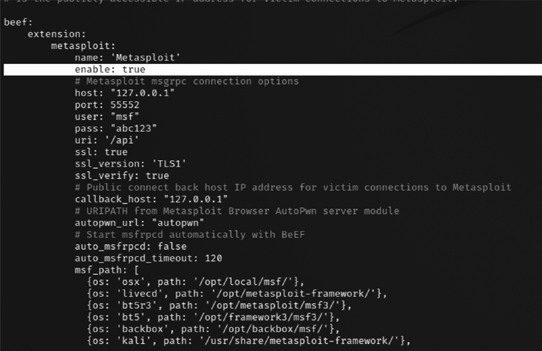 Configuring the BeEF extension with the Metasploit framework