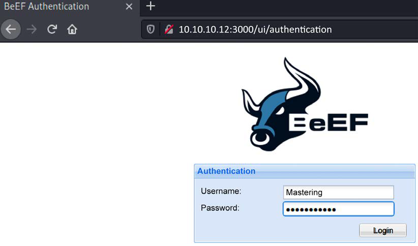 Authenticating to the BeEF application