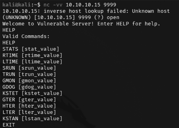 Connecting to the vulnerable server from Kali Linux
