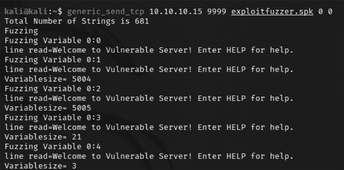 Fuzzing the vulnerable server with SRUN