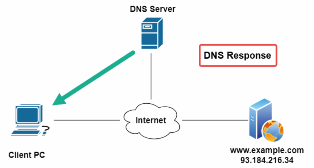 DNS response