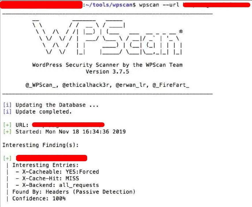 wpscan