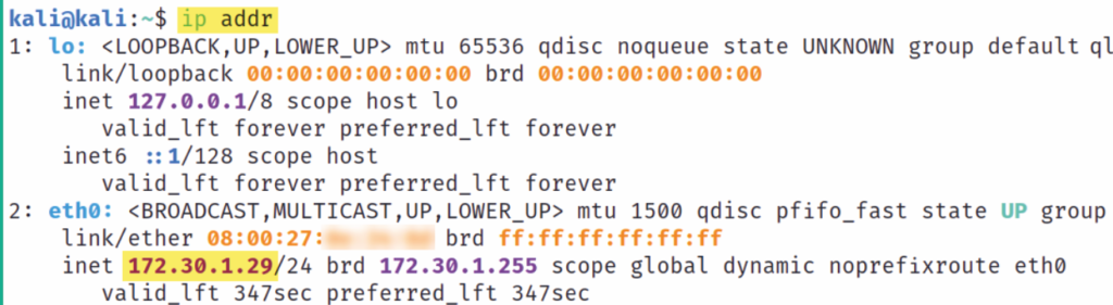 Determining the IP address